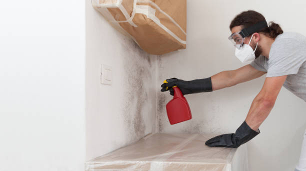 Professional Basement Mold Remediation technician working in Farmville, NC