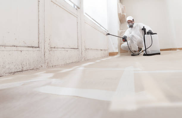24/7 Emergency Basement Mold Remediation experts in Farmville, NC