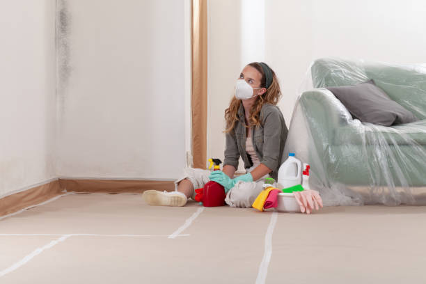Reliable Basement Mold Remediation contractor in Farmville, NC by WQB Mold Removal